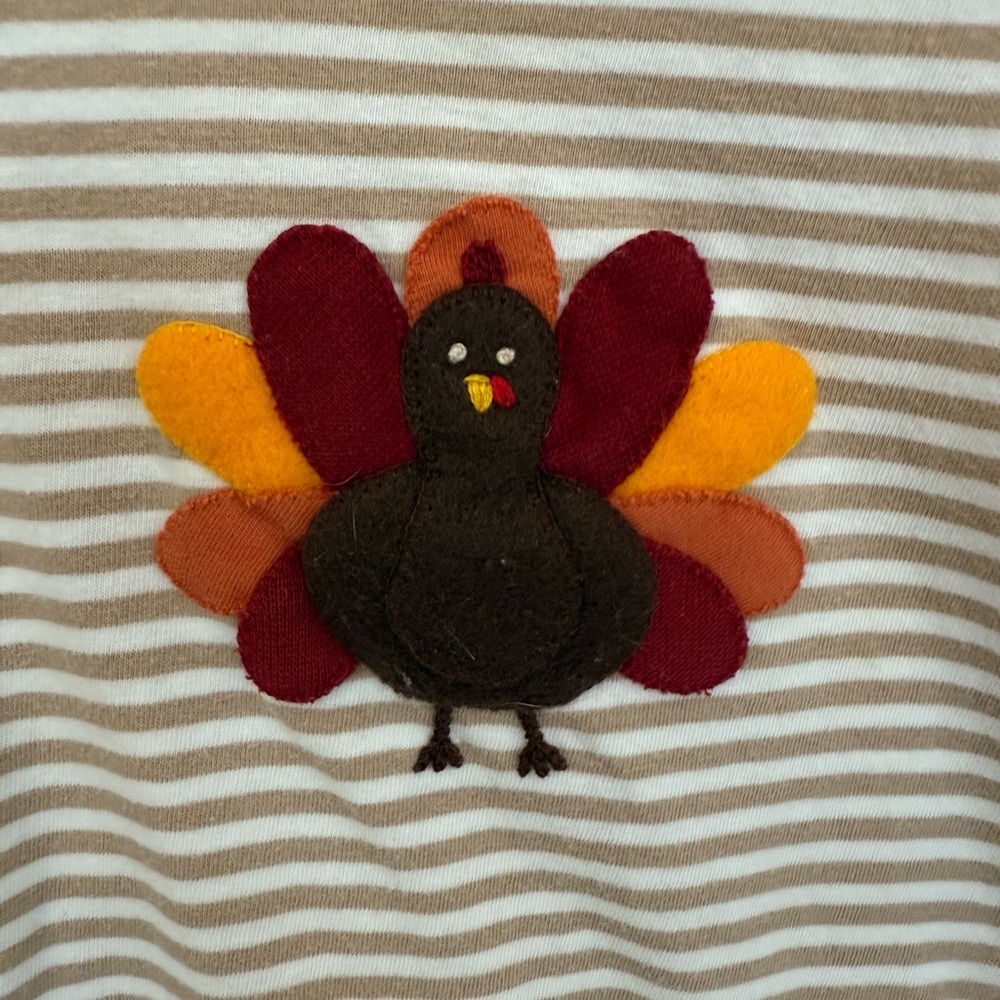 Baby Luigi Long sleeved light brown romper with turkey appliqué size 12 months - Picture 3 of 4